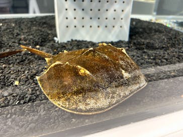 AOAO SAPPOROに投稿された画像（2024/5/21）