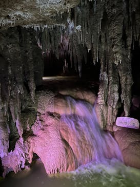 おきなわワールドに投稿された画像（2024/5/21）