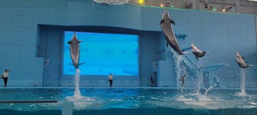 横浜・八景島シーパラダイスに投稿された画像（2024/5/21）