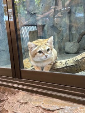 那須どうぶつ王国に投稿された画像（2024/5/22）