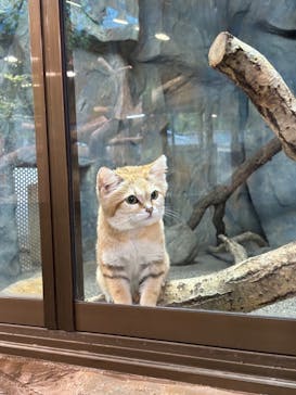 那須どうぶつ王国に投稿された画像（2024/5/22）