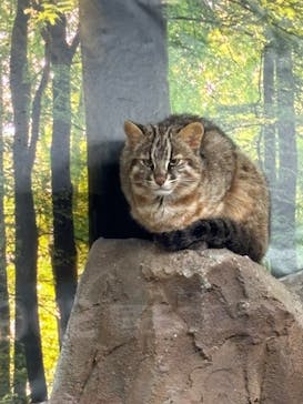 那須どうぶつ王国に投稿された画像（2024/5/22）