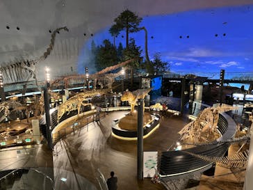 福井県立恐竜博物館に投稿された画像（2024/5/22）
