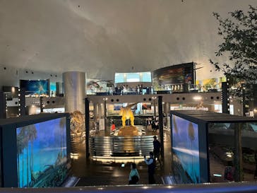 福井県立恐竜博物館に投稿された画像（2024/5/22）