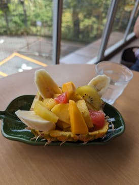 熱川バナナワニ園に投稿された画像（2024/5/22）