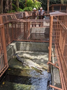 熱川バナナワニ園に投稿された画像（2024/5/22）