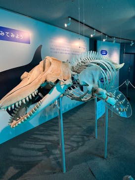 鴨川シーワールドに投稿された画像（2024/5/22）