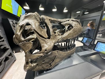 福井県立恐竜博物館に投稿された画像（2024/5/22）