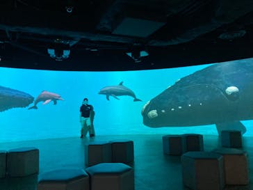 カワスイ 川崎⽔族館に投稿された画像（2024/5/22）