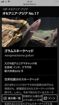 カワスイ 川崎⽔族館に投稿された画像（2024/5/22）