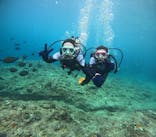 沖縄マリンサービス碧に投稿された画像（2024/5/22）