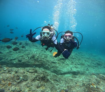 沖縄マリンサービス碧に投稿された画像（2024/5/22）