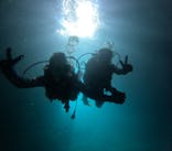 沖縄マリンサービス碧に投稿された画像（2024/5/22）