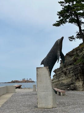 城崎マリンワールドに投稿された画像（2024/5/22）