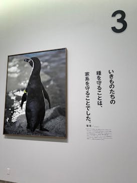 城崎マリンワールドに投稿された画像（2024/5/22）