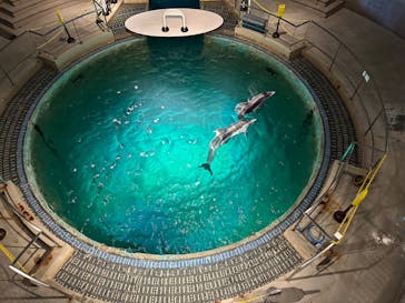 城崎マリンワールドに投稿された画像（2024/5/22）