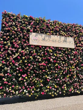 ぎふワールド・ローズガーデンに投稿された画像（2024/5/22）