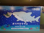 アクアワールド茨城県大洗水族館に投稿された画像（2024/5/22）