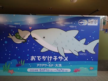 アクアワールド茨城県大洗水族館に投稿された画像（2024/5/22）