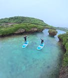 宮古島 ADVENTURE PiPi（ミヤコジマ アドベンチャー ピピ）に投稿された画像（2024/5/22）