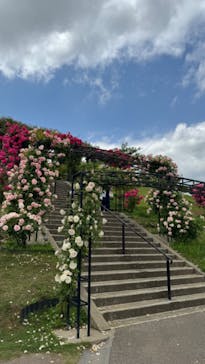 いばらきフラワーパークに投稿された画像（2024/5/22）