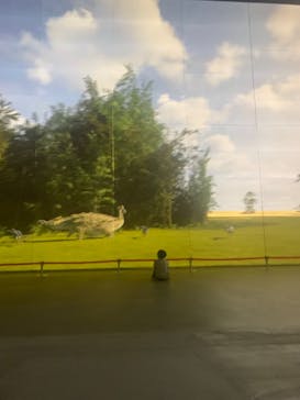 福井県立恐竜博物館に投稿された画像（2024/5/22）