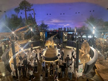 福井県立恐竜博物館に投稿された画像（2024/5/22）