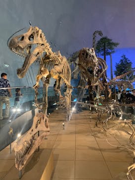 福井県立恐竜博物館に投稿された画像（2024/5/22）