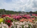 ぎふワールド・ローズガーデンに投稿された画像（2024/5/22）