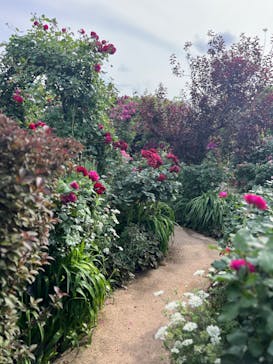 横浜イングリッシュガーデンに投稿された画像（2024/5/22）