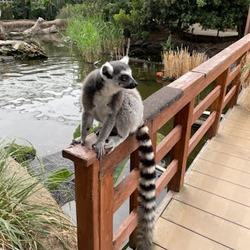 神戸どうぶつ王国に投稿された画像（2024/5/22）