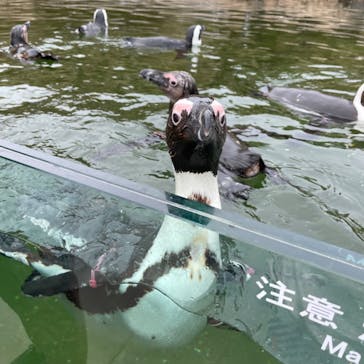 神戸どうぶつ王国に投稿された画像（2024/5/22）