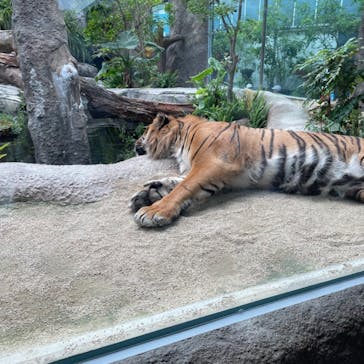 神戸どうぶつ王国に投稿された画像（2024/5/22）