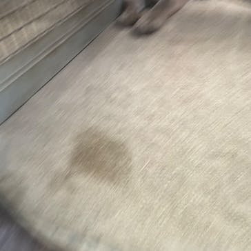 神戸どうぶつ王国に投稿された画像（2024/5/22）