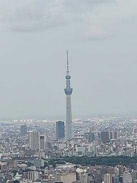 サンシャイン60展望台に投稿された画像（2024/5/22）