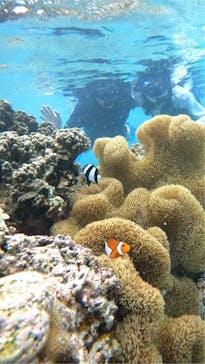 宮古島 ADVENTURE PiPi（ミヤコジマ アドベンチャー ピピ）に投稿された画像（2024/5/22）