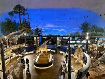 福井県立恐竜博物館に投稿された画像（2024/5/22）