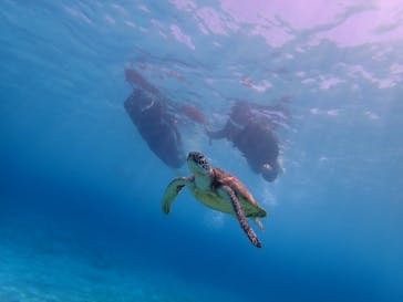 いよんちに投稿された画像（2024/5/22）