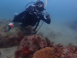 グランパスに投稿された画像（2024/5/22）