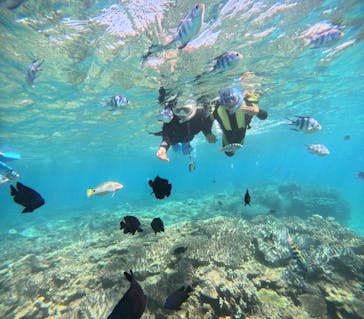 EGGダイビングに投稿された画像（2024/5/21）