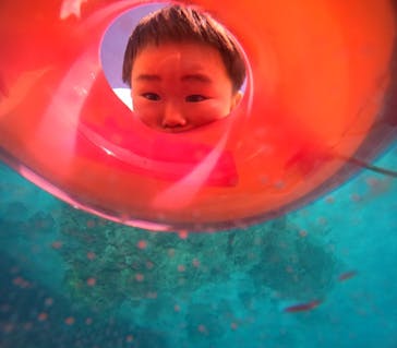 EGGダイビングに投稿された画像（2024/5/21）