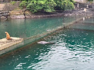 伊豆・三津シーパラダイスに投稿された画像（2024/5/22）