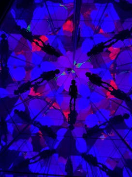 チームラボフォレスト 福岡 - SBI証券に投稿された画像（2024/5/22）