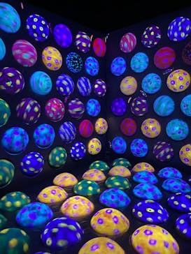 チームラボフォレスト 福岡 - SBI証券に投稿された画像（2024/5/22）