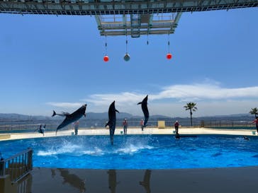 マリンワールド海の中道に投稿された画像（2024/5/22）