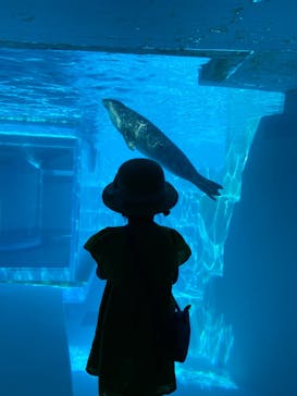 マリンワールド海の中道に投稿された画像（2024/5/22）