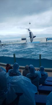 鴨川シーワールドに投稿された画像（2024/5/22）