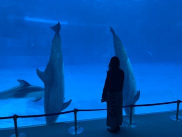 名古屋港水族館に投稿された画像（2024/5/22）