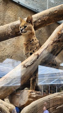 神戸どうぶつ王国に投稿された画像（2024/5/22）