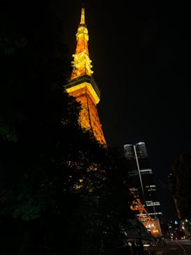 東京タワーに投稿された画像（2024/5/22）